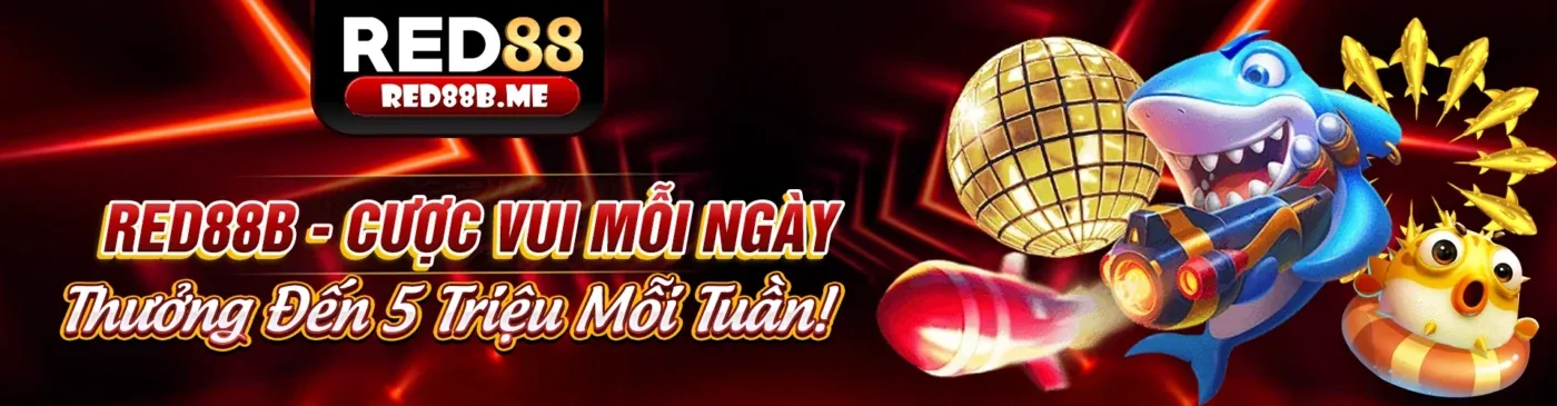 Các loại tỷ lệ cược phổ biến và cách đọc hiểu tại 88kbet casino